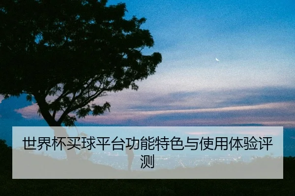 世界杯买球平台功能特色与使用体验评测