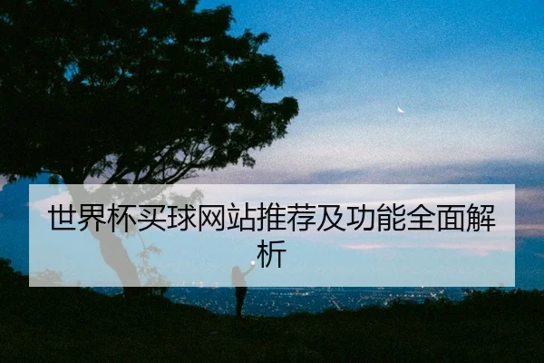 世界杯买球网站推荐及功能全面解析