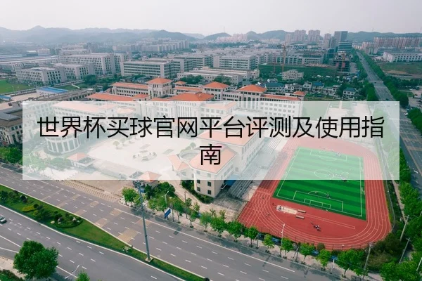 世界杯买球官网平台评测及使用指南