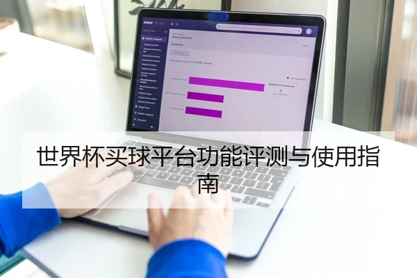 世界杯买球平台功能评测与使用指南
