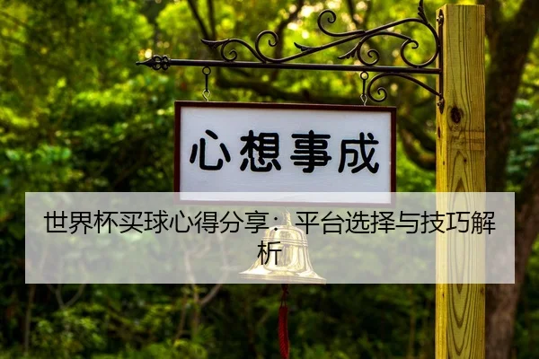 世界杯买球心得分享：平台选择与技巧解析