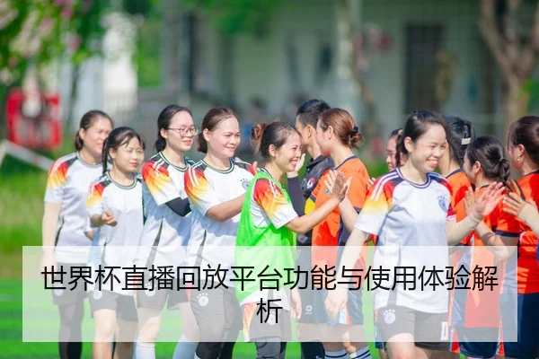 世界杯直播回放平台功能与使用体验解析